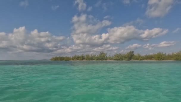 Video Mangroves North Bimini Bahamas — Stockvideo