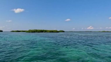 4k video of the mangroves in North Bimini, Bahamas