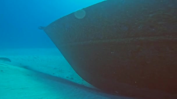 Video Wreck Sherice South Bimini Bahamas — 图库视频影像