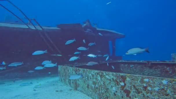 Video Wreck Sherice South Bimini Bahamas — Vídeos de Stock
