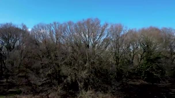 Drone Záběry River Stour Blízkosti Mistley Essexu Velká Británie — Stock video