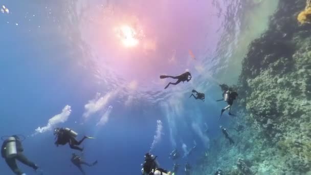 Plongeurs Sur Leur Arrêt Sécurité Fin Une Plongée Dans Mer — Video
