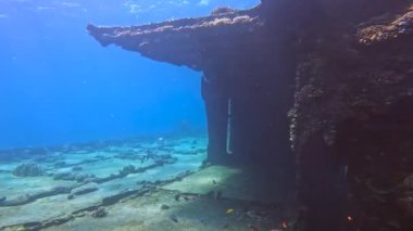 Nabq, Sharm el Sheikh, Mısır yakınlarındaki Milyon Umut enkazının 4k videosu