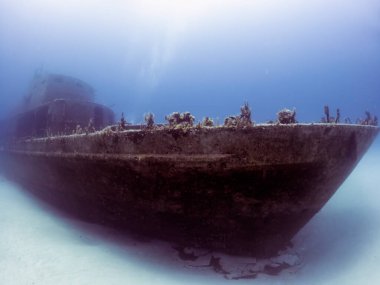 Comino, Malta 'daki P31 devriye botunun enkazı.
