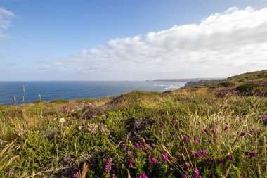 İngiltere, Cornwall 'daki Lands End' deki engebeli kıyı şeridi.