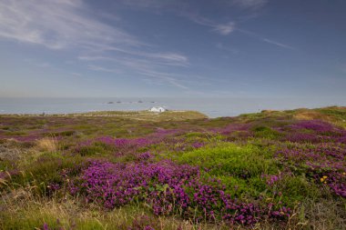 İngiltere, Cornwall 'daki Lands End' deki engebeli kıyı şeridi.