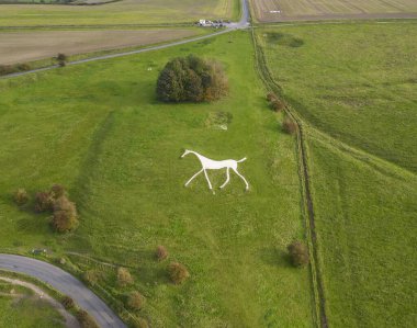 Wiltshire, İngiltere 'deki Marlborough Tepelerinde Hackpen Beyaz Atı.