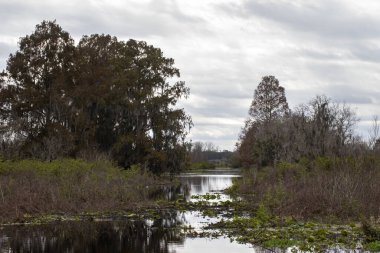 Tohopekaliga Gölü, Kissimmee yakınlarında, Florida, ABD