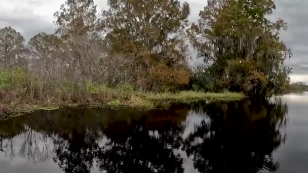 Tohopekaliga Gölü Nün Videosu Kissimmee Florida Abd Yakınlarında — Stok video