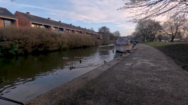 Video Patos Canal Nottingham Nottinghamshire Reino Unido — Vídeos de Stock