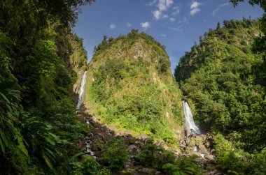 Trafalgar Şelalesi 'nin ikiz düşüşü Dominica dağlarında