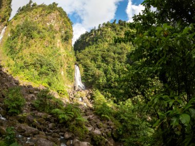 Trafalgar Şelalesi 'nin ikiz düşüşü Dominica dağlarında
