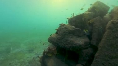 Riviera Beach, Florida, ABD 'deki Blue Heron Köprüsü' nde sabahın erken saatlerinde gün ışığı videosu.
