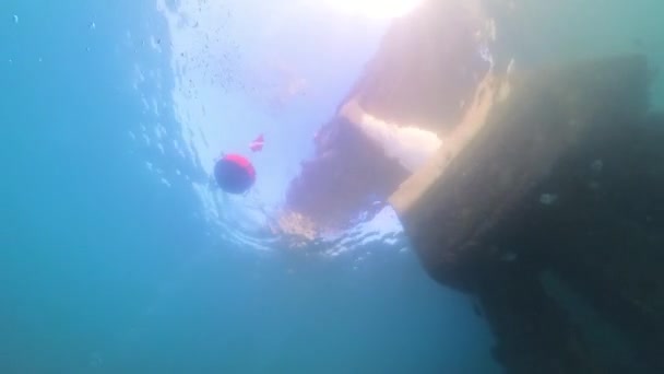 Vidéo Regardant Une Bouée Marquage Surface Pont Blue Heron Riviera — Video