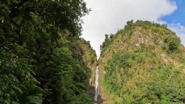 Video Las Cataratas Gemelas Trafalgar Falls Las Montañas Dominica — Vídeo de stock