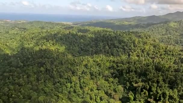 ドミニカの田舎地域の厚い植生の空中ビューの4Kビデオ — ストック動画