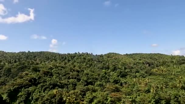 ドミニカの空港に着陸する航空機の窓から外を見る4Kビデオ — ストック動画