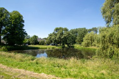Hollanda 'nın güney Arnhem bölgesinde bir gölet.