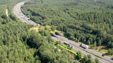 Hollanda, Gelderland 'deki Woeste Hoeve yakınlarındaki bir yaban hayatı üst geçidine ait 4k drone görüntüleri.