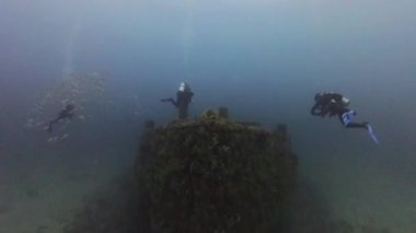 Florida, ABD 'deki Jupiter Wreck Trek' i araştıran dalgıçların 4k videosu.