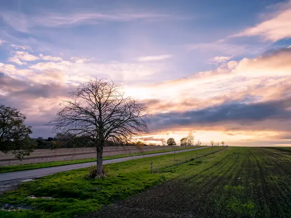 Belvoir, Leicestershire, İngiltere yakınlarındaki tarlalarda sonbahar günbatımı