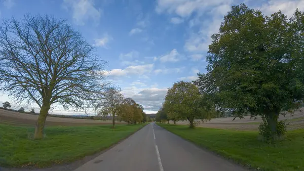 İngiltere, Leicestershire kırsalında ağaçlarla kaplı bir köy yolu.