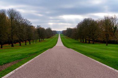 Windsor 'daki Uzun Yürüyüş Büyük Park, Berkshire, İngiltere