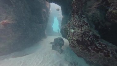 Punta Cana, Dominik Cumhuriyeti 'nde su altı kaya oluşumlarının 4k videosu