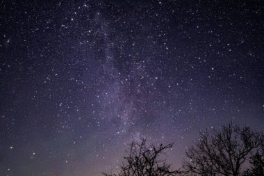 Samanyolu, Cumbria, İngiltere 'de Windermere Gölü yakınlarında açık bir gecede çekildi.
