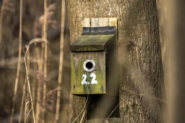Suffolk, İngiltere 'de bir doğa koruma alanında numaralandırılmış bir yuva kutusu.