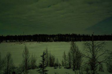 Kanada 'nın kuzeybatı bölgelerinde Yellowknife yakınlarında, bulutlu bir gökyüzünün altında geceleyin donmuş bir göl.