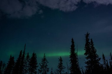 Kuzey Işıkları (Aurora Borealis) kışın Yellowknife, Kuzeybatı Toprakları üzerinde