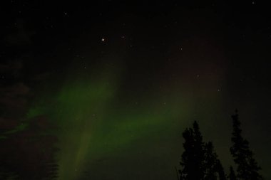 Kuzey Işıkları (Aurora Borealis) kışın Yellowknife, Kuzeybatı Toprakları üzerinde