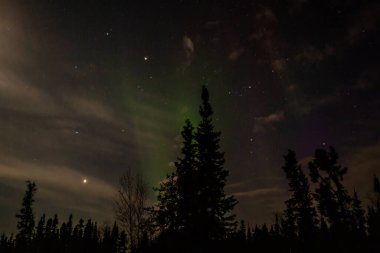 Kuzey Işıkları (Aurora Borealis) kışın Yellowknife, Kuzeybatı Toprakları üzerinde