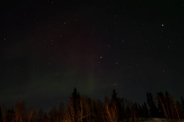 Kuzey Işıkları (Aurora Borealis) kışın Yellowknife, Kuzeybatı Toprakları üzerinde