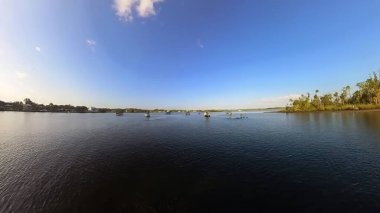 Florida, Crystal River 'da deniz ayılarıyla yüzen tekne ve şnorkelliler.
