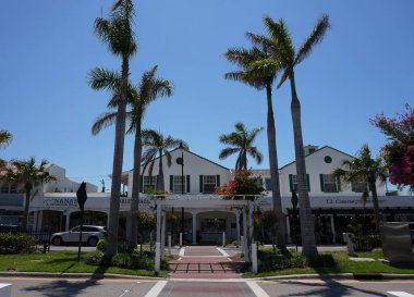 Venice Bulvarı, Florida, ABD 'de W Venice Bulvarı boyunca uzanan palmiye sokakları