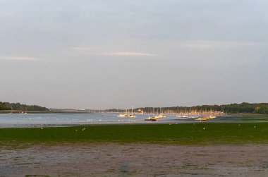 Suffolk, İngiltere 'deki Orwell Nehri' ndeki tekneler.