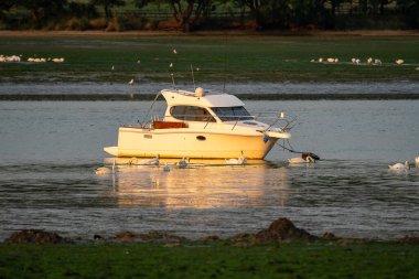 Suffolk, İngiltere 'deki Orwell Nehri' ndeki tekneler.
