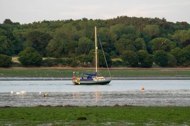 Suffolk, İngiltere 'deki Orwell Nehri' ndeki tekneler.