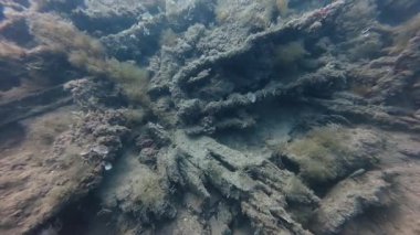 İspanya, Tarragona 'daki Vapor del Miracle enkazının 4k videosu