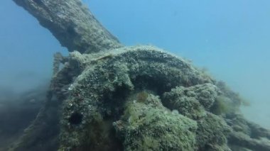 İspanya, Tarragona 'daki Vapor del Miracle enkazının 4k videosu