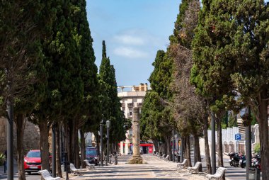 Tarragona, İspanya 'da ağaç sıralanmış eski bir Roma sütunu.