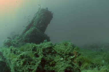 İspanya, Tarragona 'daki Vapor del Miracle enkazı.
