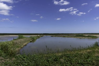 Suffolk, İngiltere 'deki Minsmere' de kıyı koruma alanı.