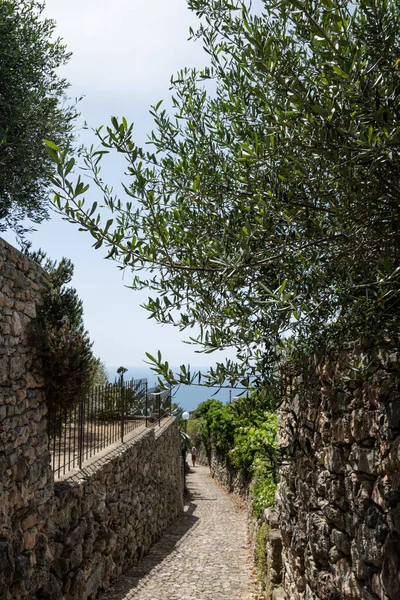 Verezzi Liguria June 2022 Splendid Village Verezzi Province Savona — Stockfoto