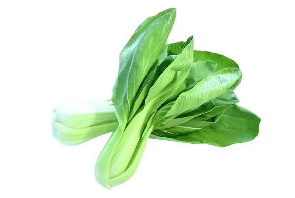 Verse Groene Chinese Kool Groente Salade Met Druppel Water Regelen — Stockfoto