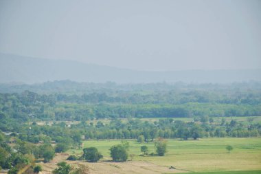 landscape of paddy field and mountain at Thailand  
