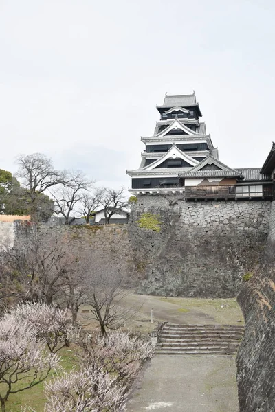 Castillo Kumamoto Destruido Por Fuego Pero Gobernador Reconstruir Conservar Japón —  Fotos de Stock