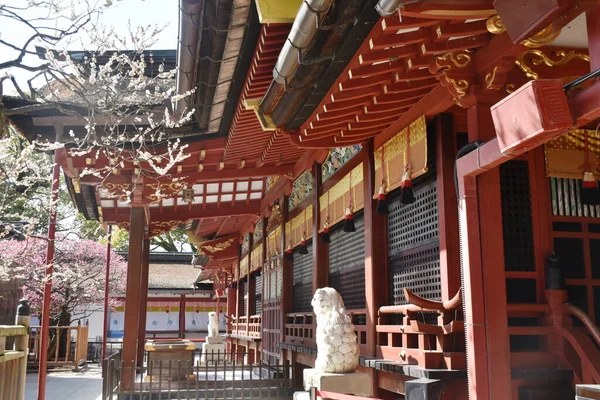 Santuario Dazaifu Tenmagu Antico Tempio Buddista Della Saggezza Giappone — Foto Stock